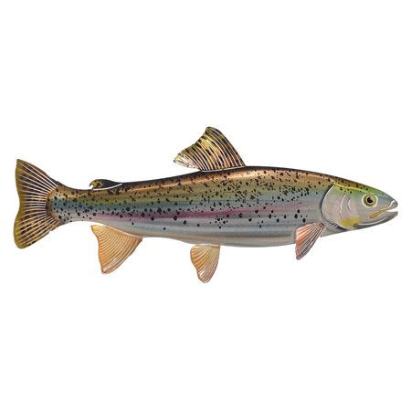 NEXT INNOVATIONS Trout Wall Art 101210040